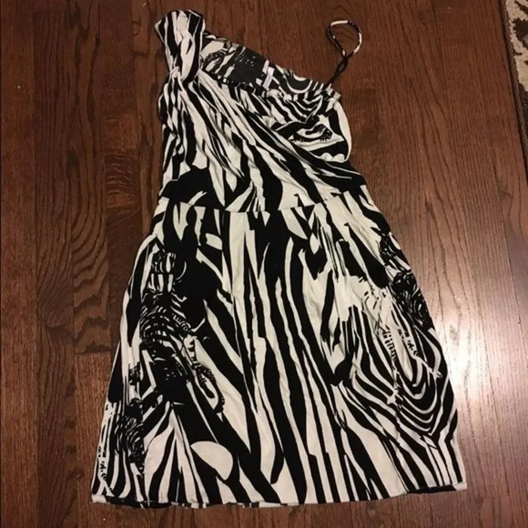 Iisli Garbo Zebra Dress - Picture 3 of 5